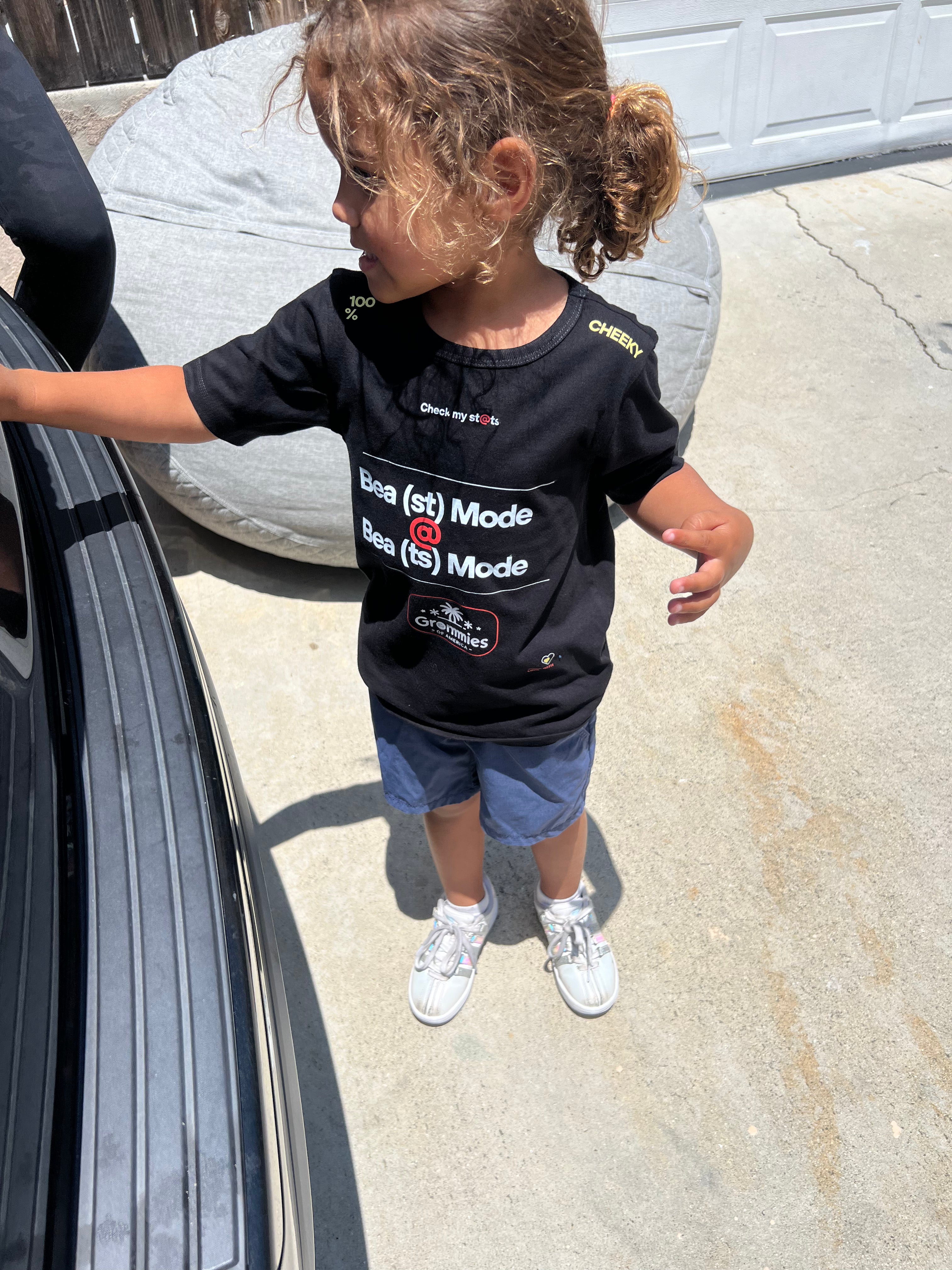 The Stats T-Shirt